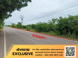 รถมือสอง อสังหาริมทรัพย์ ที่ดิน ปี 0 