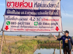 ด่วน ขายที่ดินแม่สอด-ห้วยกระโหลก จังหวัดตาก จำนวน 42 ไร่ (ที่ดินมีโฉนด