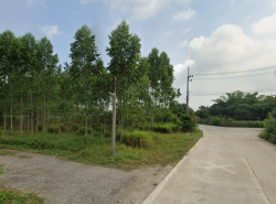 ขายที่ดินหนองบอนแดง 4 ไร่ ติดถ.คอนกรีต ใกล้ถ.เส้น 349 - 1 กม. บ้านบึง ชลบุรี