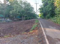 อสังหาริมทรัพย์ - ที่ดิน