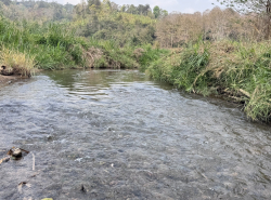 ขายที่ดิน  063 - 9352897  คุณเล็ก 4 ไร่ 90 ตารางวา เชียงใหม่ 