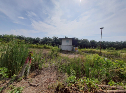 รถมือสอง อสังหาริมทรัพย์ ที่ดิน ปี 0 