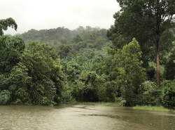 รถมือสอง อสังหาริมทรัพย์ บ้าน ปี 0 