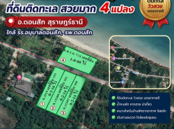 อสังหาริมทรัพย์ - ที่ดิน