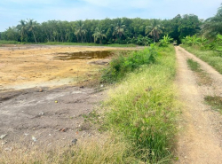 รถมือสอง อสังหาริมทรัพย์ ที่ดิน ปี 0 