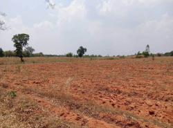 รถมือสอง อสังหาริมทรัพย์ ที่ดิน ปี 0 
