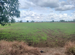 รถมือสอง อสังหาริมทรัพย์ ที่ดิน ปี 0 