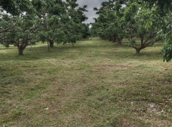 รถมือสอง อสังหาริมทรัพย์ ที่ดิน ปี 0 