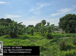 รถมือสอง อสังหาริมทรัพย์ ที่ดิน ปี 0 