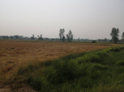รถมือสอง อสังหาริมทรัพย์ ที่ดิน ปี 0 