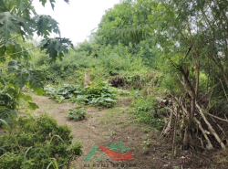 รถมือสอง อสังหาริมทรัพย์ ที่ดิน ปี 0 