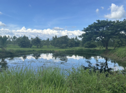รถมือสอง อสังหาริมทรัพย์ บ้าน ปี 0 