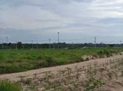 รถมือสอง อสังหาริมทรัพย์ ที่ดิน ปี 0 