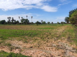 รถมือสอง อสังหาริมทรัพย์ ที่ดิน ปี 0 