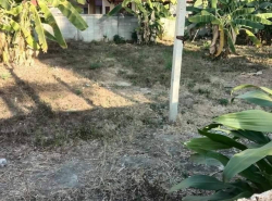 โซนแม่ริม ขายที่ดิน 2.2 ล้าน เนื้อที่ 103 ตรว. ริมใต้ ใกล้โรงเรียนแม่ริมวิทยาคม