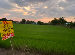รถมือสอง อสังหาริมทรัพย์ ที่ดิน ปี 0 