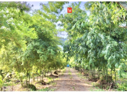 รถมือสอง อสังหาริมทรัพย์ ที่ดิน ปี 0 