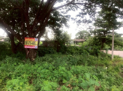 รถมือสอง อสังหาริมทรัพย์ ที่ดิน ปี 0 
