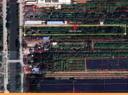 รถมือสอง อสังหาริมทรัพย์ ที่ดิน ปี 0 