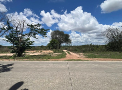 รถมือสอง อสังหาริมทรัพย์ ที่ดิน ปี 0 