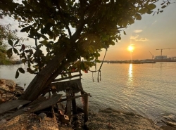 ขายที่ดินติดแม่น้ำเจ้าพระยาไกล้สะพานกาญจนา ตำบล บางหญ้าแพรก อำเภอพระประแดง สมุทรปราการ