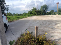 อสังหาริมทรัพย์ ที่ดิน ปี 