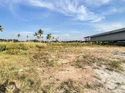 รถมือสอง อสังหาริมทรัพย์ ที่ดิน ปี 0 