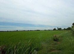 รถมือสอง อสังหาริมทรัพย์ ที่ดิน ปี 0 