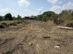 รถมือสอง อสังหาริมทรัพย์ ที่ดิน ปี 0 