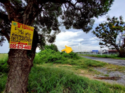 รถมือสอง อสังหาริมทรัพย์ ที่ดิน ปี 0 