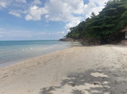 ขายที่ดินพร้อมโรงแรมบนเกาะช้าง ติดหาดทราย ขายถูกสุดชัวร์ มีใบอนุญาตโรงแรม