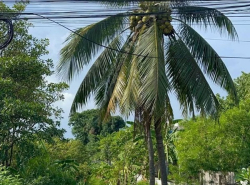 รถมือสอง อสังหาริมทรัพย์ ที่ดิน ปี 0 