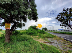 รถมือสอง อสังหาริมทรัพย์ ที่ดิน ปี 0 