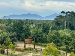 รถมือสอง อสังหาริมทรัพย์ ที่ดิน ปี 0 