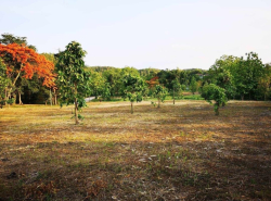 รถมือสอง อสังหาริมทรัพย์ ที่ดิน ปี 0 