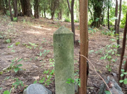 รถมือสอง อสังหาริมทรัพย์ ที่ดิน ปี 0 