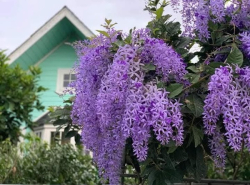 รถมือสอง อสังหาริมทรัพย์ บ้าน ปี 0 