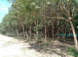 รถมือสอง อสังหาริมทรัพย์ ที่ดิน ปี 0 