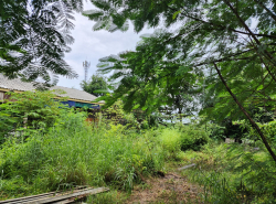 ขาย ที่ดินเปล่า ถมแล้ว 199 ตร.ว. ถ.คู้คลองสิบ หนองจอก