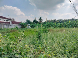 รถมือสอง อสังหาริมทรัพย์ ที่ดิน ปี 0 