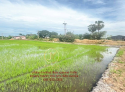 รถมือสอง อสังหาริมทรัพย์ ที่ดิน ปี 0 