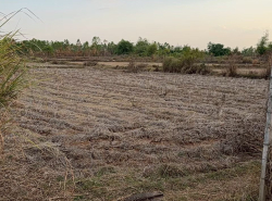 รถมือสอง อสังหาริมทรัพย์ ที่ดิน ปี 0 