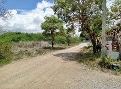ขาย ที่ดิน ต.ปึกเตียน อ.ท่ายาง จ.เพชรบุรี     PAPC2_0009 C007