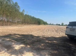 รถมือสอง อสังหาริมทรัพย์ ที่ดิน ปี 0 