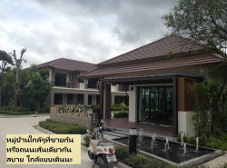 รถมือสอง อสังหาริมทรัพย์ ที่ดิน ปี 0 