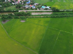 รถมือสอง อสังหาริมทรัพย์ ที่ดิน ปี 0 