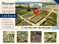 ขายที่ดิน ไร่นาสวนผสม ดินดีมีน้ำตลอดปี แปลงสวยมาก 16-0-54 ไร่ อ.โนนไทย