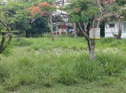 รถมือสอง อสังหาริมทรัพย์ ที่ดิน ปี 0 