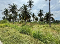 รถมือสอง อสังหาริมทรัพย์ ที่ดิน ปี 0 