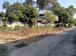 ขายที่ดิน 42.9ตรว. 800,000บ. ฟรีโอน ถูกกว่าประเมิน ใกล้ถนนต้นยาง วัดต้นเหียว ต.ยางเนิ้ง อ.สารภี เชียงใหม่